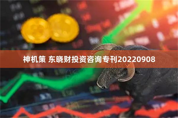 神机策 东晓财投资咨询专刊20220908