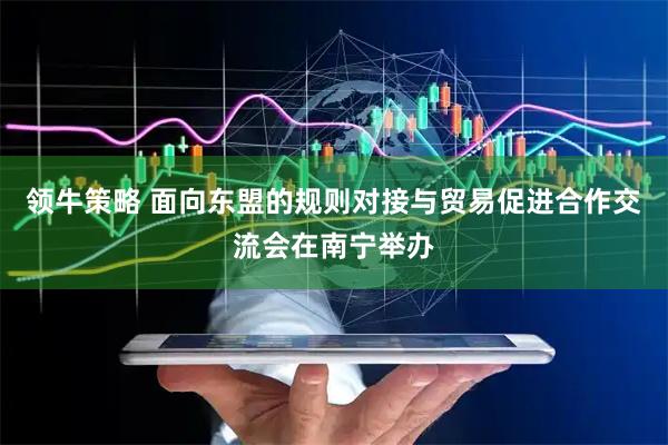 领牛策略 面向东盟的规则对接与贸易促进合作交流会在南宁举办
