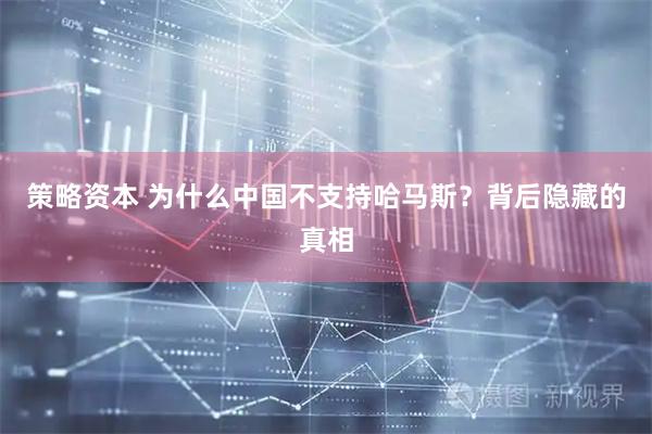 策略资本 为什么中国不支持哈马斯？背后隐藏的真相