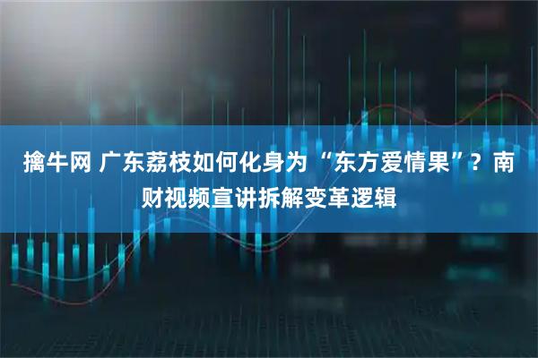 擒牛网 广东荔枝如何化身为 “东方爱情果”？南财视频宣讲拆解变革逻辑