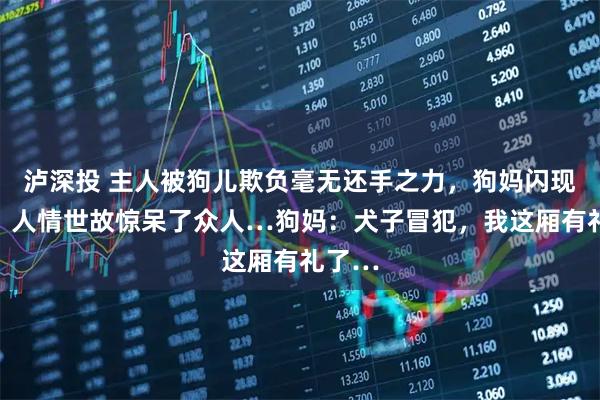 泸深投 主人被狗儿欺负毫无还手之力，狗妈闪现撑腰，人情世故惊呆了众人…狗妈：犬子冒犯，我这厢有礼了…