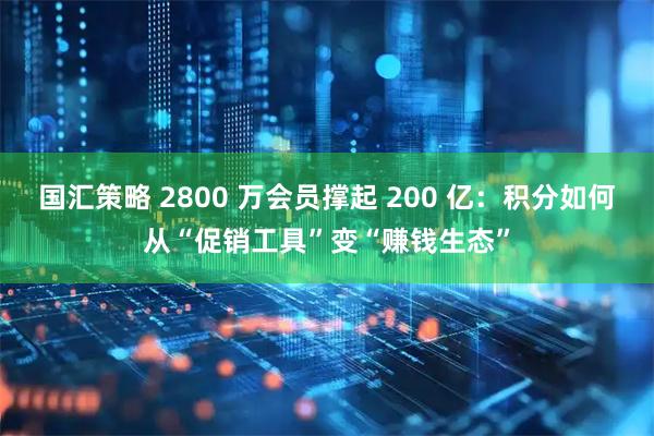 国汇策略 2800 万会员撑起 200 亿：积分如何从“促销工具”变“赚钱生态”