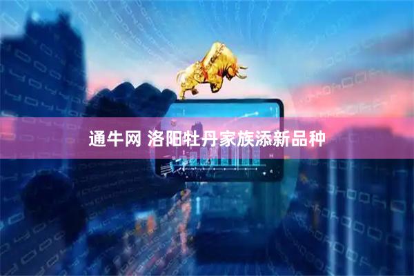 通牛网 洛阳牡丹家族添新品种